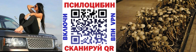 наркошоп  Северская  ссылка на мегу зеркало  Галлюциногенные грибы Magic Shrooms 